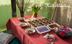 Magisch Kruiden Talisman maken