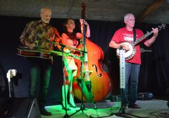 Janis McCoury