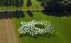 Overgave - Kunstexpeditie